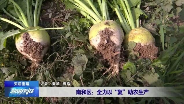 【灾后重建】南和区:全力以“复”助农生产