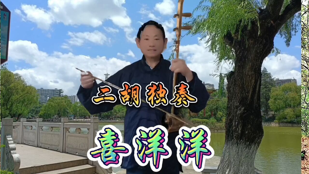 《喜洋洋》二胡独奏