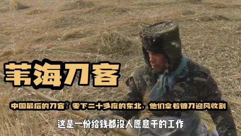 《苇海刀客》：中国最后的刀客？零下二十多度的东北，他们拿着镰刀迎风收割。