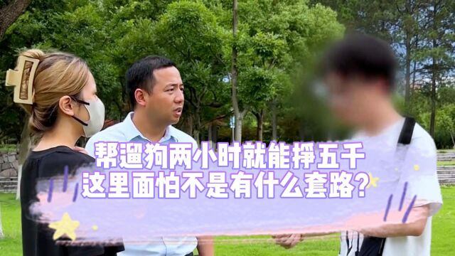 帮遛狗两小时就能挣五千,这里面怕不是有什么套路?