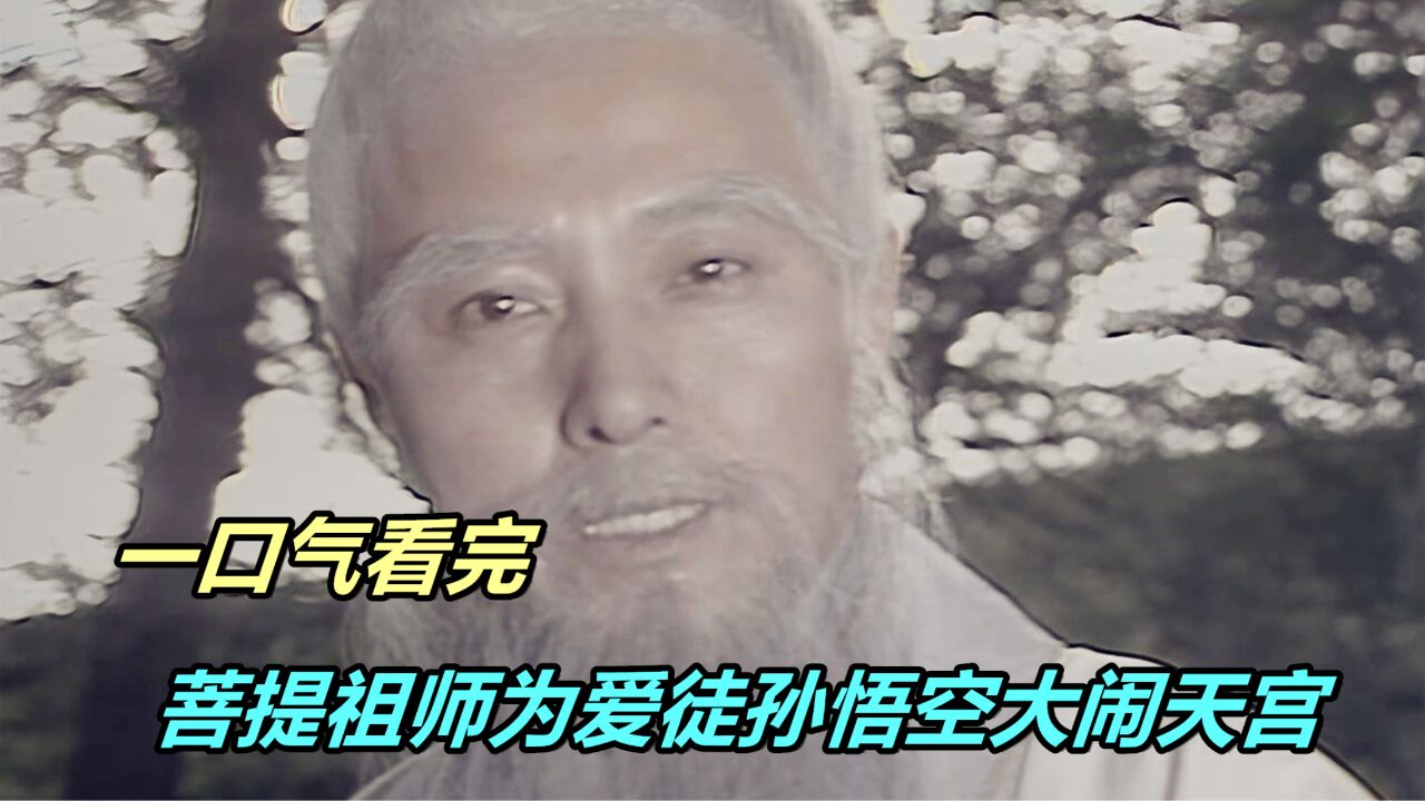 一口气看完《西游外传》,菩提祖师为爱徒孙悟空大闹天宫!_高清1080P在线观看平台_腾讯视频