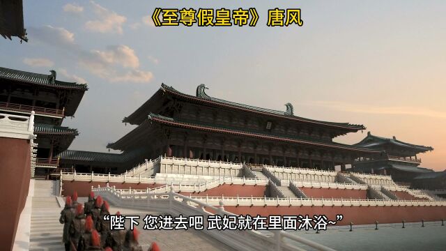 《至尊假皇帝》◇唐风免费小说全文阅读【完结无删减】