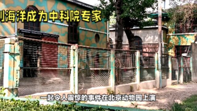 刘海洋:从“硫酸泼熊”到中科院专家的华丽转身