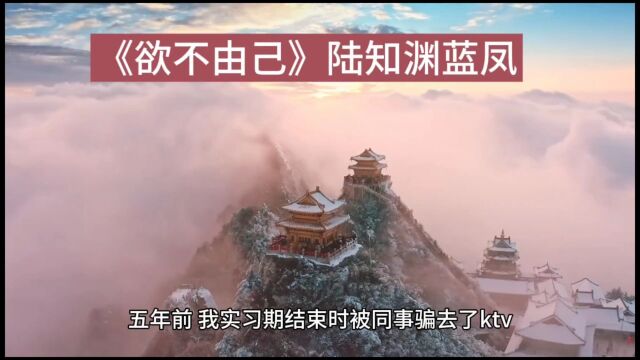 《欲不由己》小说(陆知渊蓝凤)全文阅读