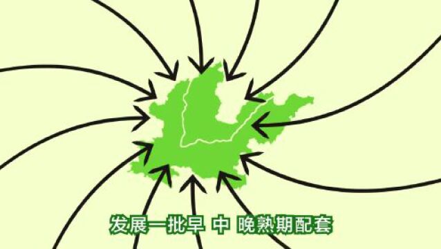 【三农词条】苹果优势产区在哪里?