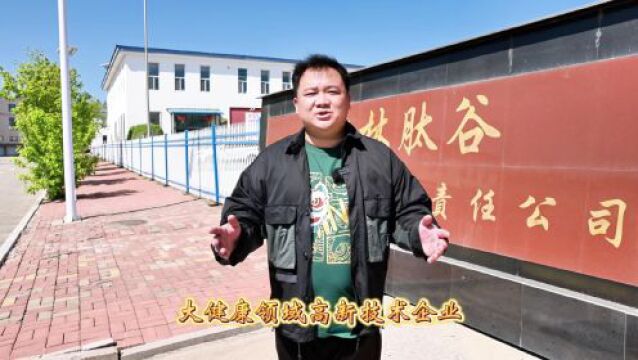 长白山臻选 ⷠ乡村名品 | 品牌战略驱动人参产业创新发展