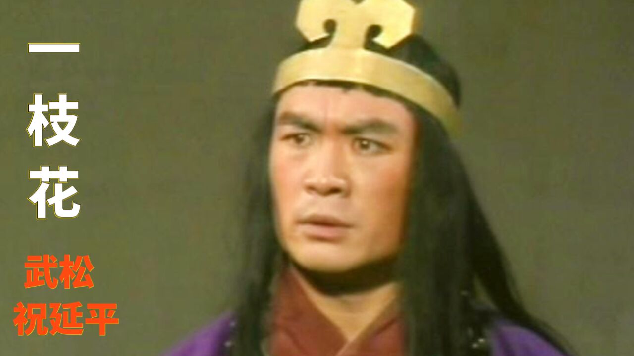 83年祝延平版武松,配上唢呐神曲《一枝花》,这才是真正的武松!_高清1080P在线观看平台_腾讯视频