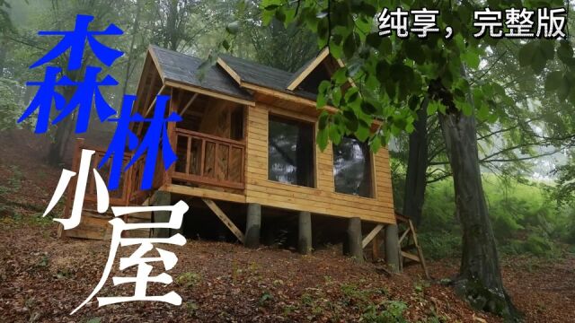 建造精美的森林小木屋