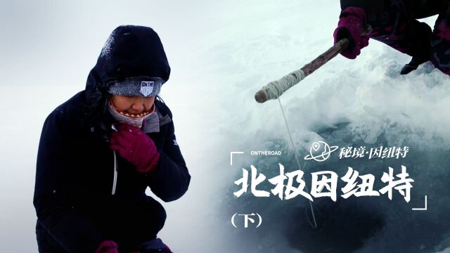 割雪成砖,因纽特人冰屋就是这样盖的?