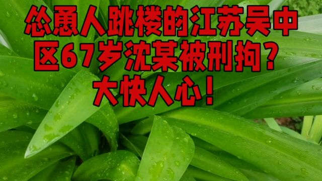 怂恿人跳楼的江苏吴中区67岁沈某被刑拘?大快人心!