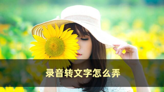 录音转文字怎么弄?用它能快速解放你的双手