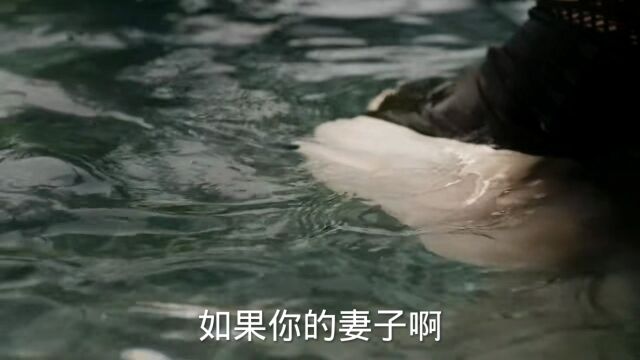 经典语录,经典语录