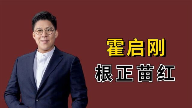 霍家凭什么是香港第一豪门?霍启刚放倒水杯的举动,彰显爱国之心