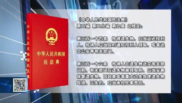 “法治副校长”谈颖颖来啦