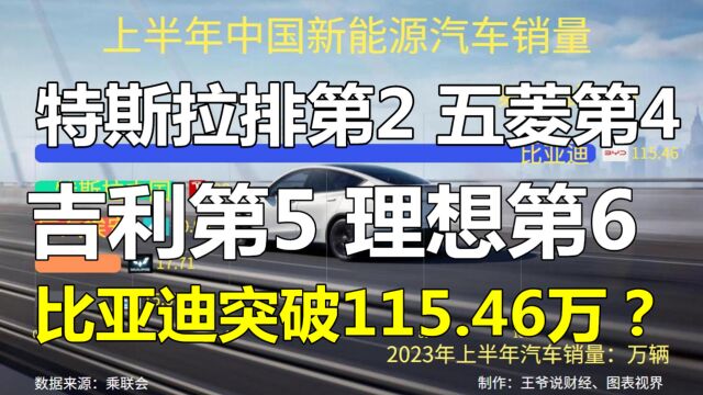 中国新能源汽车厂商销量:特斯拉第2,五菱第4,比亚迪115.46万?