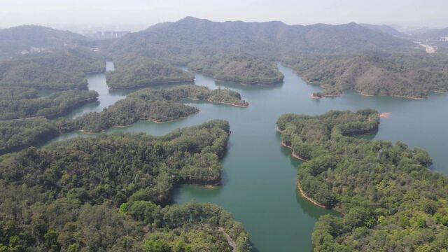 惠州惠城区红花湖 东莞惠州深圳附近绿道 风景区 休闲好去处