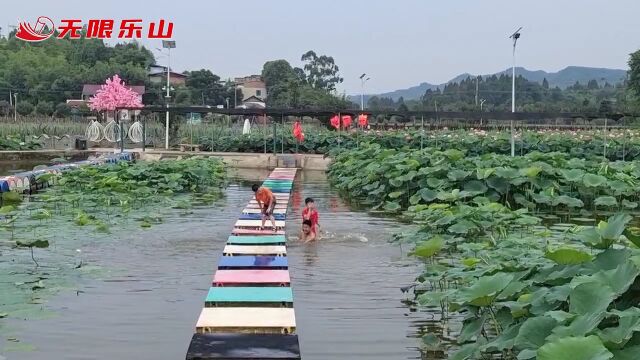 幸福石马 为“荷”而来!井研县周坡镇石马村荷花节将于7月9日开幕