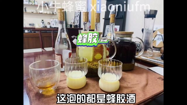 蜂胶泡酒蜂胶的功效与作用食用方法蜂蜜的正确吃法蜂胶怎么吃蜂胶质量品质纯度 #蜂胶 #蜂王浆 #蜂蜜 蜂皇浆蜂巢蜜蜂花粉关注小牛蜂蜜带你了解蜂知识