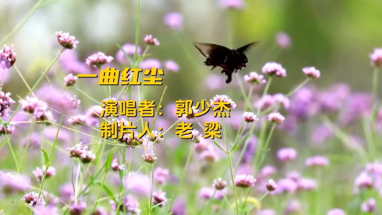 一首《一曲红尘》,郭少杰演唱,风景优美,歌曲好听,请大家欣赏