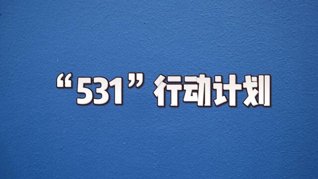 “531”行动计划