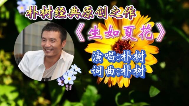 怀旧经典金曲《生如夏花》朴树深情演唱,宛转走心歌词,动听旋律令人如痴如醉,百听不腻!