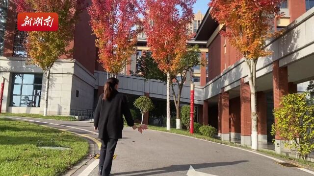 湖南雷锋学院“枫”景如画