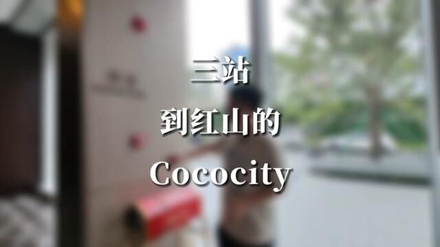 三站到红山的Cococity 这样的房子你猜多少钱?