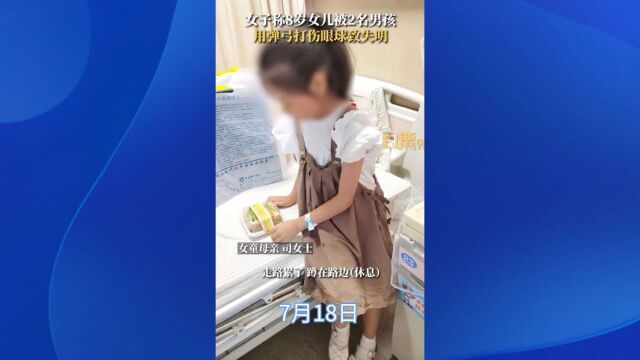 女子称8岁女儿被男孩用弹弓打失明