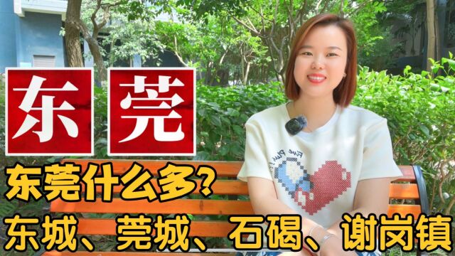 广东省东莞地名由来:东城、南城、万江、莞城、石碣镇、石龙镇