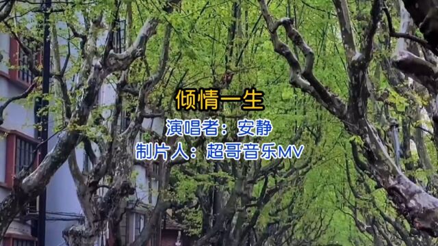 安静一首伤感情歌《倾情一生》,歌声温婉走心,不知不觉泪水模糊了双眼!