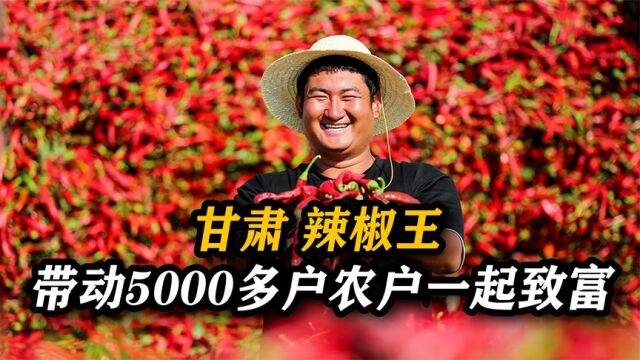 甘肃“辣椒王”刘彦斌,年产值亿万元,带动5000多户农户一同致富