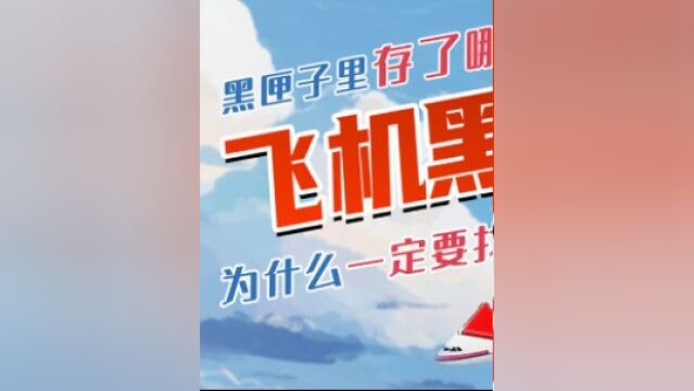 飞机黑匣子内部是什么结构,黑匣子里面都存了哪些信息?