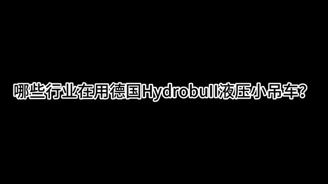 Hydrobull液压小吊车,高端用户的正确选择!