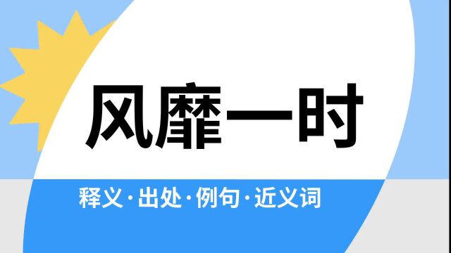 “风靡一时”是什么意思?