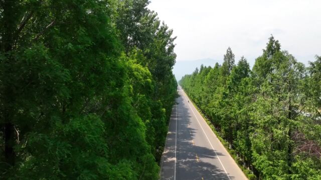 区县时间|鄠邑区甘曹路上榜陕西“十大最美农村路”