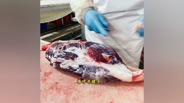 看看有没有您喜欢吃的牛肉部位,全是当天鲜肉!#牛肉 #黄牛肉 #鲁西黄牛