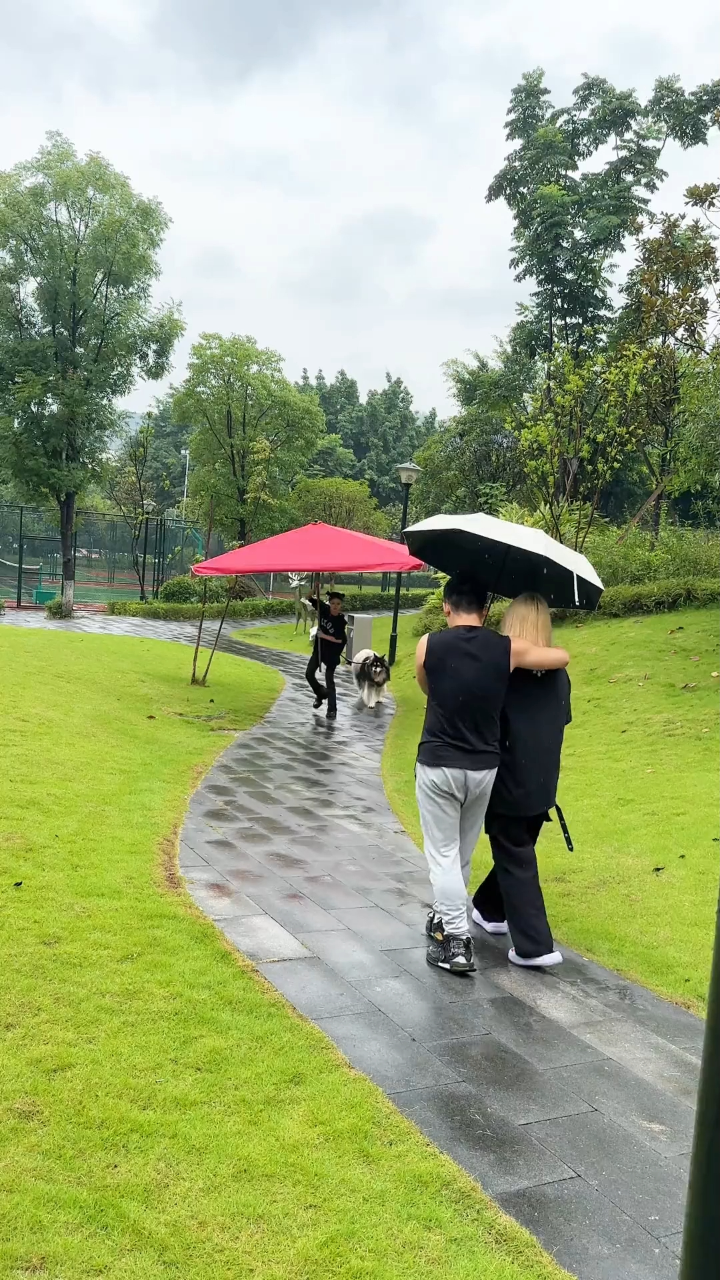 不管刮风下雨,遛狗是必须的_高清1080P在线观看平台_腾讯视频