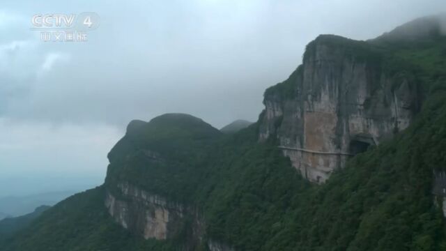 金佛山经外力风化,水的侵蚀和冲刷,形成奇峰异石和陡岩绝壁