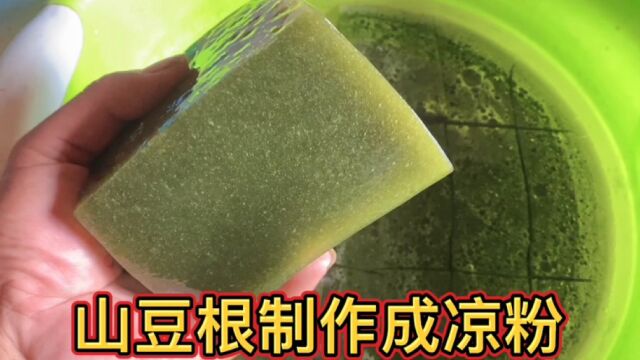 粉叶轮环藤也称之为山豆根,用其叶子制作凉粉的全过程,你吃过吗