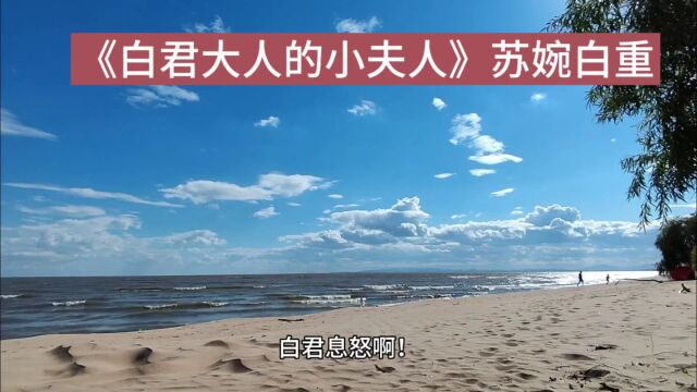 悬疑《白君大人的小夫人》苏婉白重【完整/无弹窗】