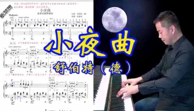 唯美钢琴曲《小夜曲》(舒伯特):愿这个世界的温暖和美好与你不期而遇.