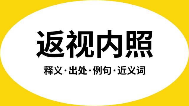 “返视内照”是什么意思?