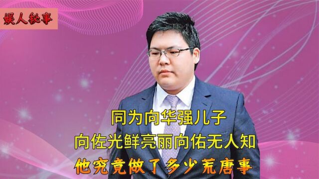 向佑因女人惹是生非,向华强为救子暴露家底,难怪向太从不提及他