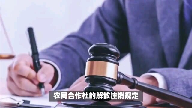 农民合作社营业执照注销流程?