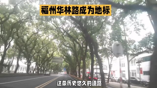 华林路,福州的魅力所在:一条地标路的传奇