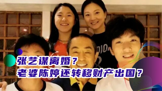 张艺谋离婚?老婆陈婷还转移财产出国?真相究竟是什么?