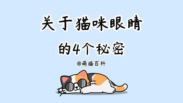 关于猫咪“眼睛”的4个秘密,还有很多人不知道!