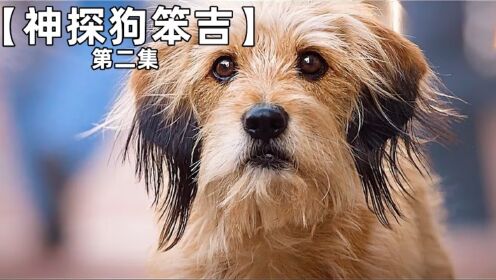 你养我一天,我用一辈子来报答,让人感动的流浪狗班吉第二集