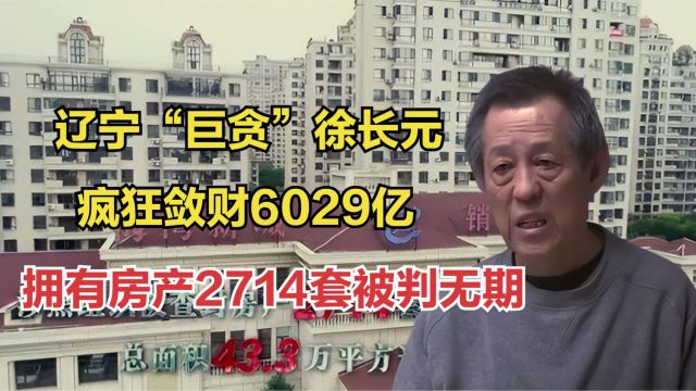 辽宁“巨贪”徐长元:疯狂敛财6029亿,拥有房产2714套被判无期