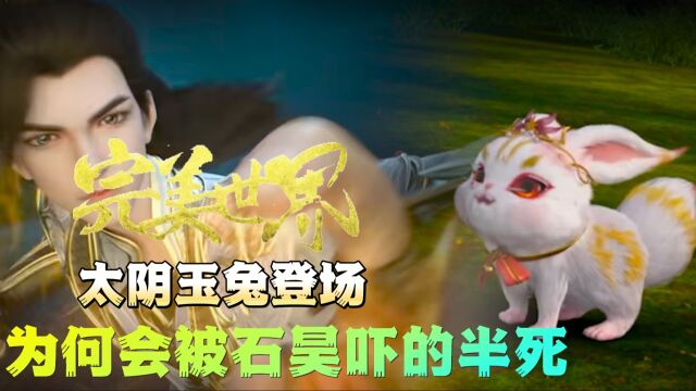 完美世界:美少女太阴玉兔登场结识石昊,她最终结局如何?